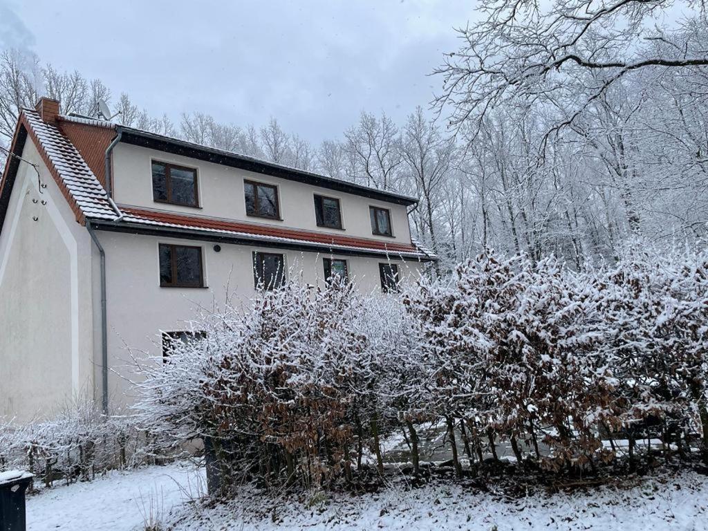 Apartment Am Hochwald Reinhardtsdorf-Schona Dış mekan fotoğraf