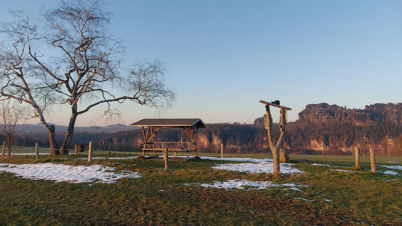 Apartment Am Hochwald Reinhardtsdorf-Schona Dış mekan fotoğraf