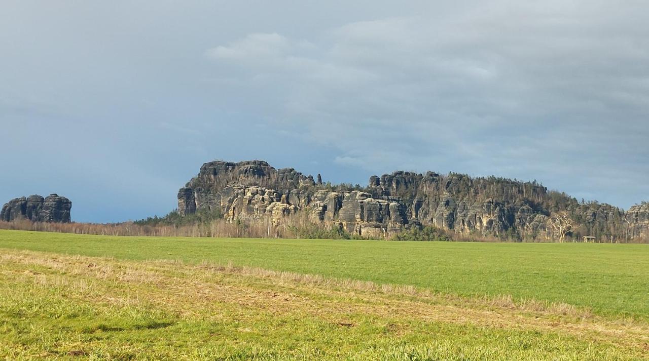 Apartment Am Hochwald Reinhardtsdorf-Schona Dış mekan fotoğraf